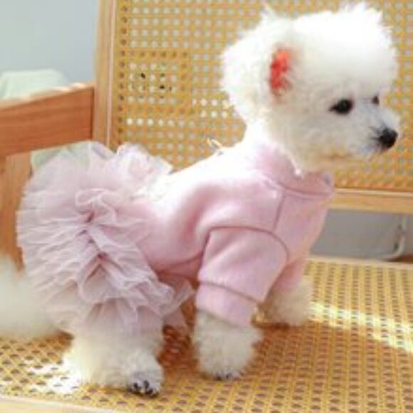 1pc pet clothes warm like wool crown mesh skirt pink, XL - Picture 1 of 16